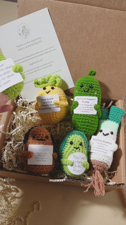 Emotional Support Gift Box
