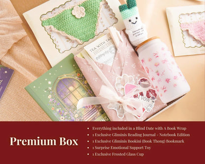 Bookini Book Box