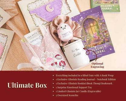 Bookini Book Box